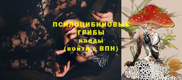 эйфоретик Алзамай