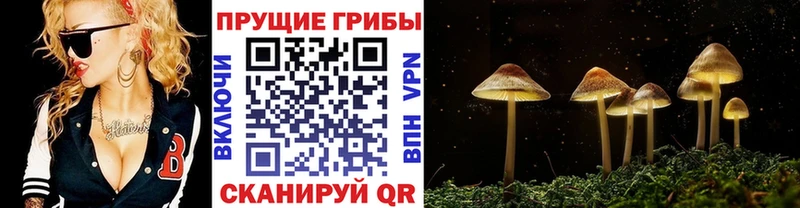MEGA маркетплейс  купить  сайты  Троицк  Псилоцибиновые грибы MAGIC MUSHROOMS 