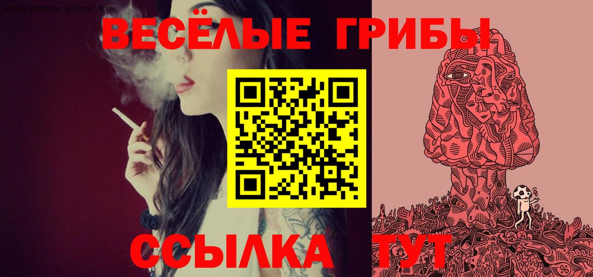 Галлюциногенные грибы MAGIC MUSHROOMS Троицк